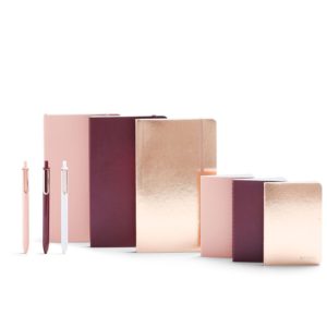 Poppin notebook rose