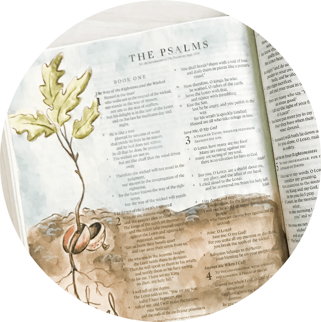 Create beautiful watercolor art in your Bible with the Bible Lettering and Art online course at amandaarneill.com