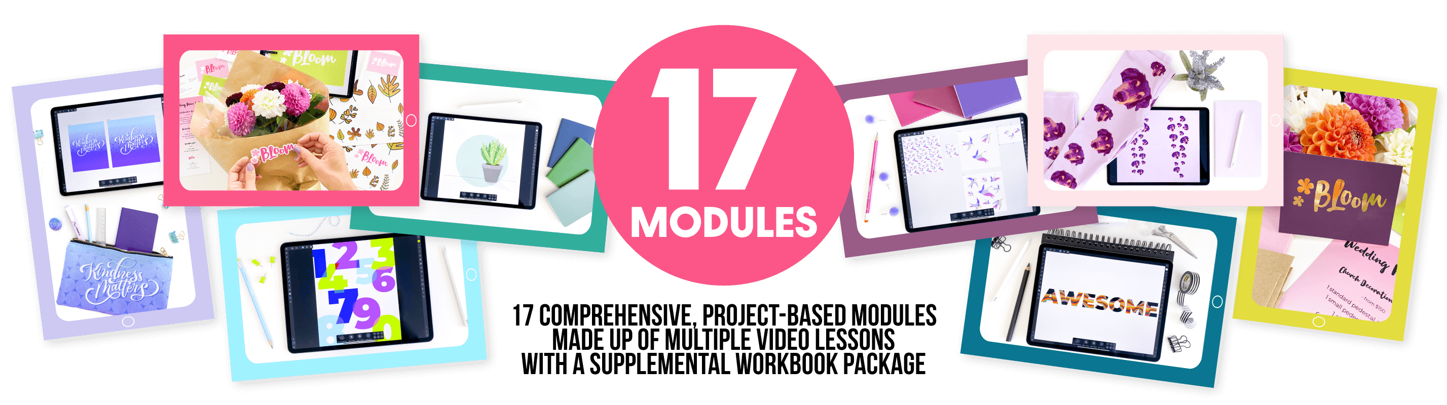 iPad-Vectors-Made-Easy-Modules-Photo